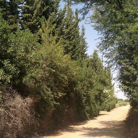 Le Jardin Touagana - Campement & Lodge Touggana Εξωτερικό φωτογραφία