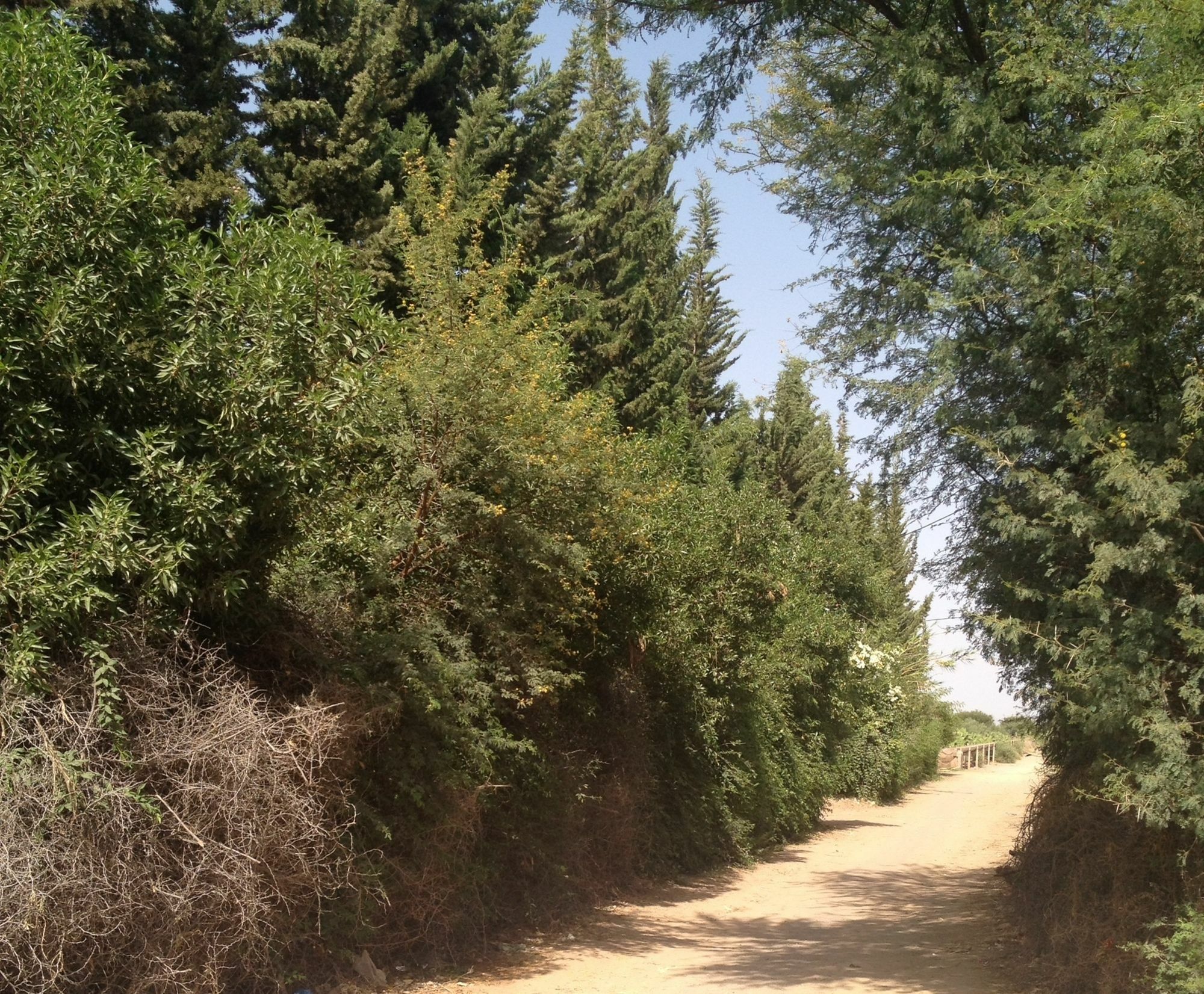 Le Jardin Touagana - Campement & Lodge Touggana Εξωτερικό φωτογραφία
