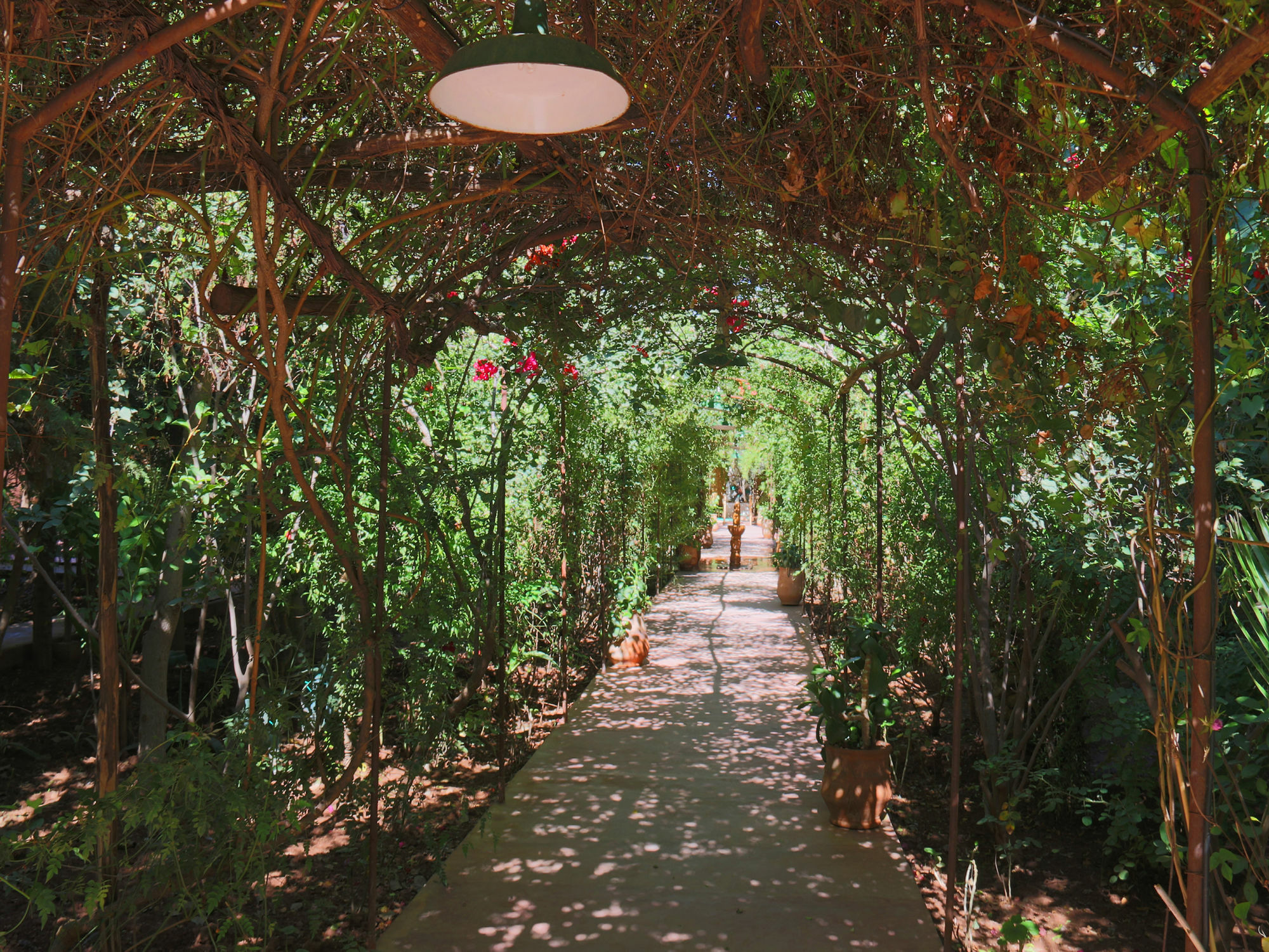 Le Jardin Touagana - Campement & Lodge Touggana Εξωτερικό φωτογραφία