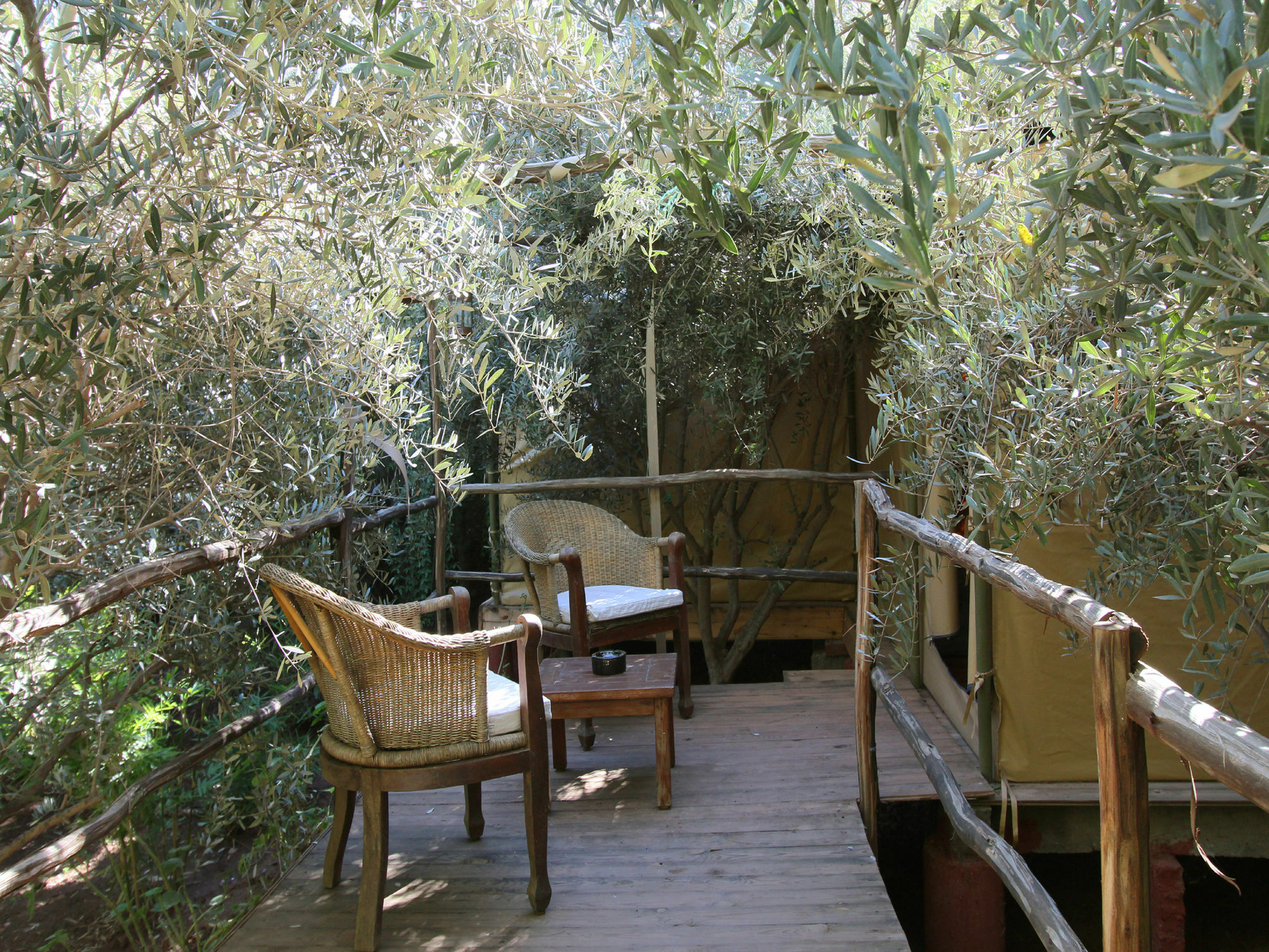 Le Jardin Touagana - Campement & Lodge Touggana Εξωτερικό φωτογραφία